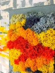 천연이끼 인테리어액자 6호 모스테라피(슬픔과 상실감을 극복하고 싶을 때) 31.5cmX41cm 스칸디아모스 사무실액자 거실액자 : 온향