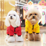 퍼피엔젤 6컬러 AIR 3 올인원 패딩 : 스탠바이펫