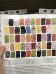 젤리 벨리 50가지 맛 600g Jelly Belly 50 Flavours Gift Box 600g : 호주다나와
