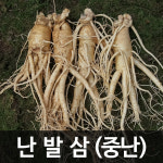 금산인삼 수삼 난발삼 중난 (750g) (13 - 15뿌리) 국내산 : 청명네이처