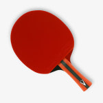 참피온 엑시옴 탁구라켓 V2.0S 쉐이크완제품 학교체육교보재 : 더탁구샵