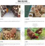 난각번호1번 명품유정란 등고개농장(에그본) 유정란 40알 : 유정란 등고개달걀농장