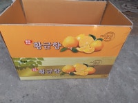 제주황금향  10kg : 써니롱롱샵