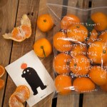 제주섬 농장지기 엉클리틀의 12월 수확 감귤 10kg / 쉐어키트 : 엉클리틀