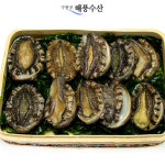 자연산 전복 1kg (4-5미) : 해풍수산 스토어