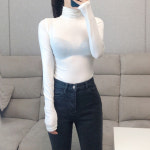 비비드 텐셀 폴라 레이어드 티셔츠 쫄티 (5color) : 만자린다