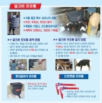 염소 유산양) ★송아지건강하게키우기 ★송아지/유산양/염소 ★배탈/설사/장염예방 ★축산기자재 / 포유기 / 축산물품 / 신일축산 : 백년가게