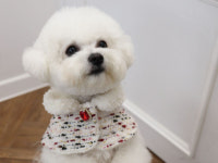 부띠끄멍 2컬러 사이즈S-XL 핸드메이드 트위드 케이프 넥 워머 : 마이앨리스독