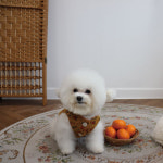 부띠끄멍 2컬러 사이즈S-XL 핸드메이드 꽃무늬 할매 누빔 조끼 : 마이앨리스독