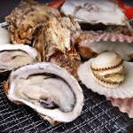 [착한어부] 캠핑알찬세트 / 홍가리비2kg + 석화1kg (2개구매시 홍합1kg증정) : SK스토아