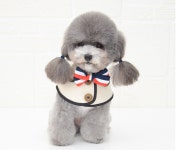 허니수니 강아지 고양이 배색 케이프 S - L 스카프 고양이 애견 유치원 비숑 : 허니수니