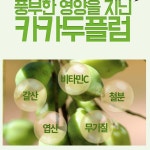 고농축 카카두플럼 추출분말 500g(자연유래 천연비타민) : happystore70