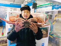 국산 대게 박달 홍게 울진 후포리 택배 5마리 : 씨유수산