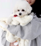 아하펫 레드퍼피 워머 포켓 베어리스 강아지 고양이 담요 주머니 포대기 이불 방석 : 데일리독
