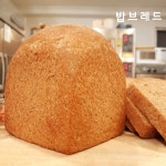 밥브레드 통밀 식빵 맛있는 건강빵 저당 노밀가루 비건 통밀빵 320g, 2개 : 밥브레드 비건빵