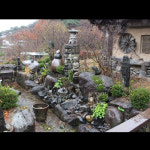 예사랑 누룽지 백숙 영양식 건강식 보양식 : 예사랑 누룽지백숙