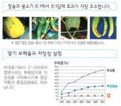 제이아그로 캡 1L 부패방지 착색당도증진기 저장성극대화 속썩음방지제 : 미래로팜
