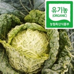 제주고동일농장 유기농 제주 미니사보이양배추 5 kg : 친환경농산물 제주고동일농장