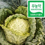 제주고동일농장 무농약 제주 사보이양배추 3kg : 친환경농산물 제주고동일농장