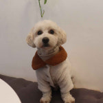 부띠끄멍 2컬러 사이즈 S-XL 핸드메이드 양털 자켓 : 마이앨리스독