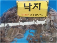 산지직송 국내산 고흥 뻘낙지 탕탕이 소중대특낙지 : 순천 녹동수산
