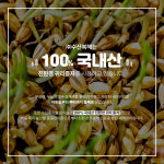 푸레들 친환경 무농약 국내산 새싹귀리분말 70g : 푸레들