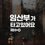 동글 임산부가 타고있어요2 혈액형 DG009 차량스티커 탑승중 운전 유리 시트컷팅 모노밤 : 모노밤