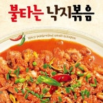 양념낙지 불타는 낙지볶음 250g : 바오나무