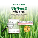 친환경 무농약 인증 국내산 새싹보리 효능 가루 분말 : 푸레들