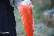 상주 별천지송어 송어 순살 1인분(250g) 외 3종 캠핑음식 밀키트 : 인생식탁