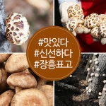 장흥 표고버섯가루 선물세트 자연의맛 천연분말4호 : 더봄날.