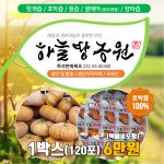 하늘땅농원 호박즙,맷돌호박즙,늙은호박즙 : 하늘땅농원무안