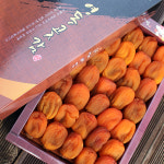 영동 반건시 곶감 명절 선물세트 대봉 꽂감 선물용 가정용 곶감 : 원뽀농원