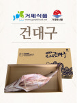 거제식품 외포건대구 대 1마리 (60cm~70cm) : 거제식품