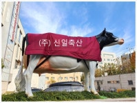 ★성우용 방한자켓 / 환축우 덕석 / 성우덕석 / 송아지자켓 / 송아지방한복 / 성우자켓 / 소방한복 / 환축우보온 / 축산기구 /축산용품 : 백년가게