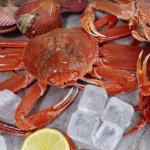 [착한어부]구룡포 대게 5마리 (중)(300-400g) 총 1.8kg 내외 : SK스토아