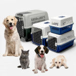 항공 애견 강아지 대형견 켄넬 이동장 케이지 : 2Sshop