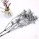 SG 눈꽃 프리저브드플라워 블랙 : 에스지