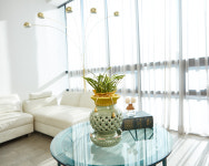 어버이날 축하 환갑 생신 선물 동양란 동양난 황제 투각분 화분배달 : 농원청년