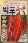 빅포(빅4) 고추(1,200립) / 칼라병! 탄저병! 고품질! 수량성! 고품질 복합내병계 극대과종 선두주자!! : 흥농종묘사흥농아그로흥농TV