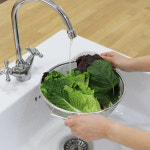 스텐 채 채반 매쉬 채망 타공 소쿠리 야채 바구니 : 로긴