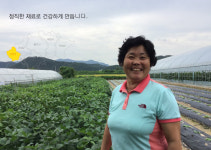 국산 100% 쥐눈이콩 청국장 가루 500g : 충북진천 박현자 Farm