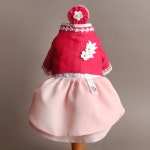 애견한복 이츠독 진이 공주 한복 강아지옷 설날 & 추석 한복 : 달콤한 슈나네