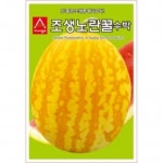 아시아종묘 씨앗 수박 조생노란꿀 10립 : 아시아종묘