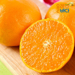 제주직송 제주 천혜향 혼합과수 10kg 가정용 천혜향 ( 소과) : 올레바다농장