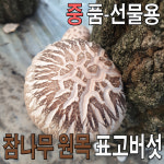 [중품]참나무 원목 표고버섯1kg 생표고버섯 당일수확배송 선물용 백화고 흑화고 : 최강 표고버섯 농장