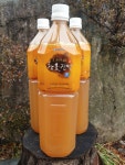 [치악산] 참옻진액 즙 엑기스 1.5L 옻오르지않는 원바이오텍 옻닭진액즙 : 산약초이야기 건강촌