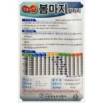 진흥 봄마지 알타리씨앗-20g-봄알타리 : 서진농약사