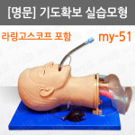 [명문] 기도확보실습모형/my-51/간호실습모형/에어웨이실습/ 구강및비강삽관실습/후두경실습/라링고스코프실습/라링고스코프 포함 : 어바웃메디