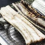 통영 자연산 손질 장어 800g 바다장어 구이 붕장어 아나고 : 마녀바스켓